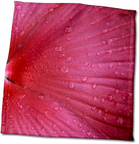 3Drose Danita Delimont - Flower - Crveni hibiskus, Sažetak - Ručnici