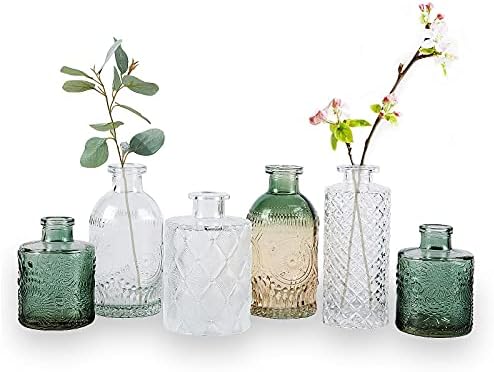 WILDMOS STACKE BUPA VASE SET od 6, male cvjetne vaze za ukrasne, gradijentne staklo i utisnuti mini staklene boce za dekor doma, vintage