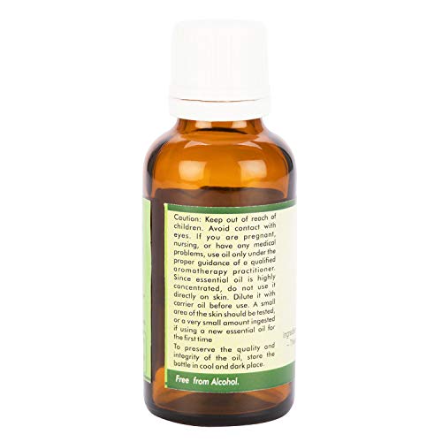R v Esencijalna čista esencijalna ulje vanilije 5ml - vanilija planifolia