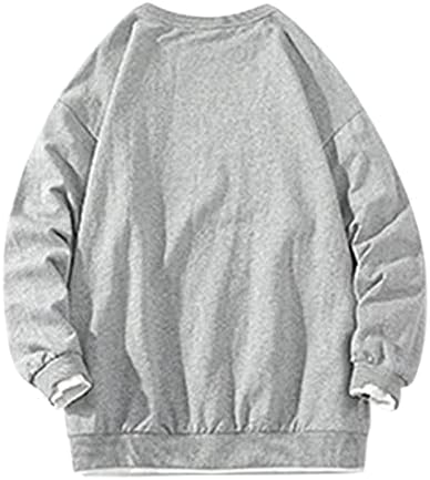 Muške kapuljače pulover fleece casual pullover hoodie unisex novitet kapuljače 3d tiskana grafika sweatch04