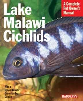 Ciklidi jezera Malavi