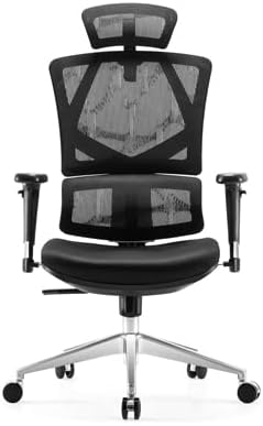 Ergonomska uredska stolica s visokim naslonom, lumbalnom potporom, podesivim naslonom za glavu i debelim jastukom sjedala od prozračne