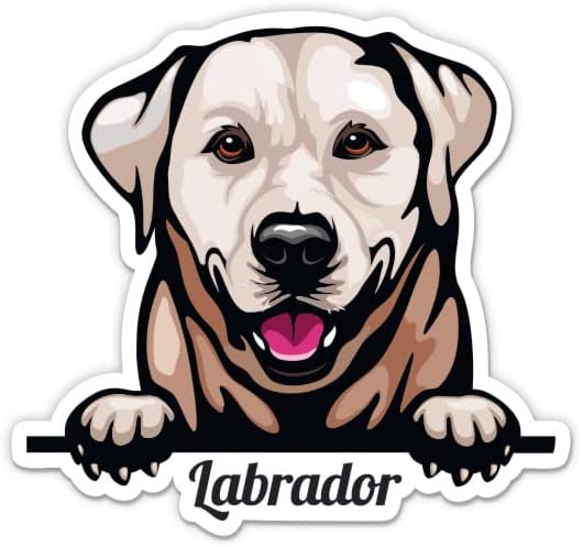 Labrador Retriever naljepnica - naljepnica prijenosnog računala 3 - vodootporni vinil za automobil, telefon, boca s vodom - laboratorijski