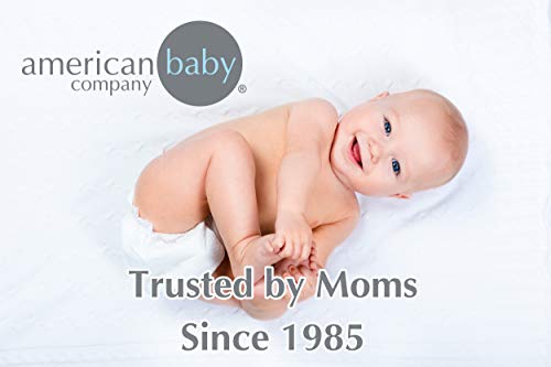 American Baby Company Novo poboljšan pamučni flanel ugrađeni krevetić, sivi chevron, za dječake i djevojčice