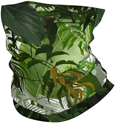 Višenamjenska Sportska traka za glavu s printom prašume ležerna elastična bešavna traka za znoj maska za vrat pokrivala za glavu čarobni