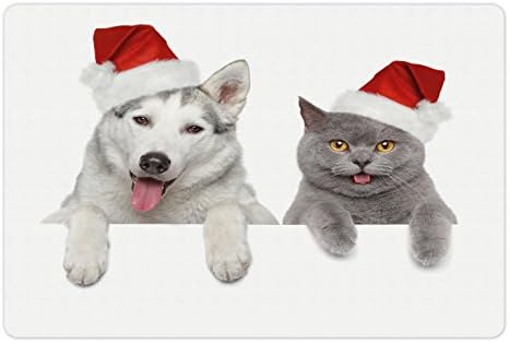 Božićna prostirka za kućne ljubimce za hranu i vodu, pas i mačka u crvenim šeširima Djeda Mraza, smiješni kućni ljubimci-štene i mačić,