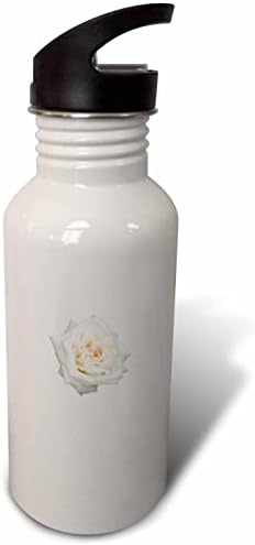 3Drose izbliza pogled na prekrasnu izoliranu bijelu ružu - boce s vodom